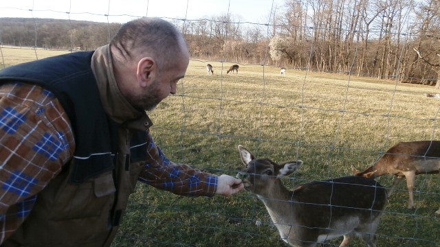 Lainzer Tiergarten 14.03.2020