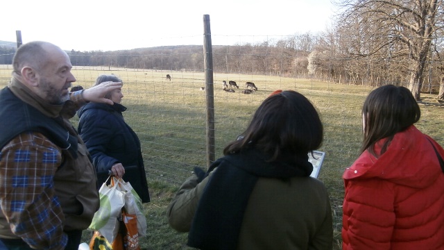 Lainzer Tiergarten 14.03.2020