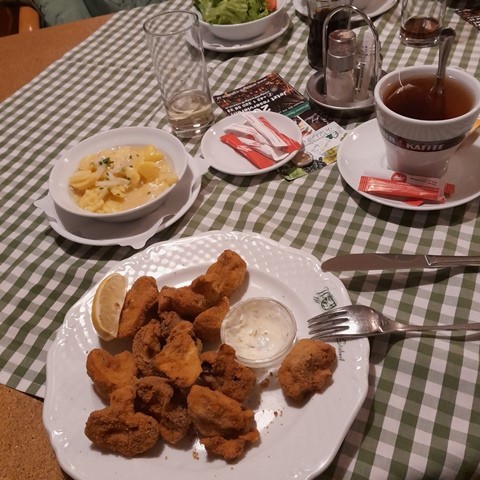 Lebensbaumkreis Ausflug06