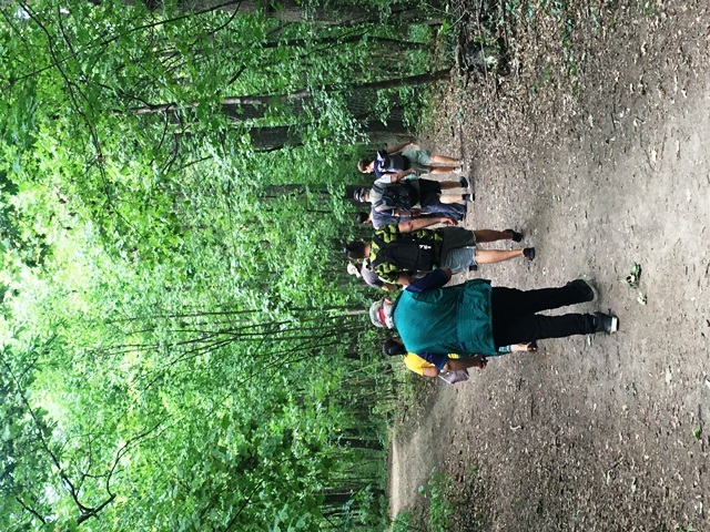 Mauer - Eisessen und Spazieren10