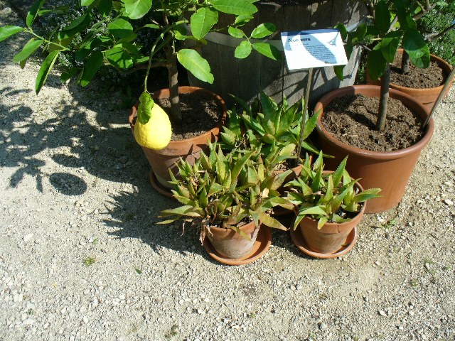 Museumsdorf Niedersulz_31