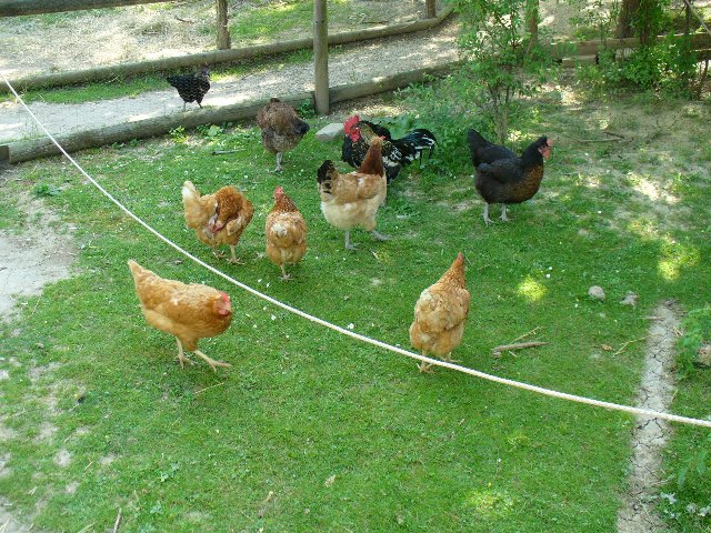 Museumsdorf Niedersulz_33