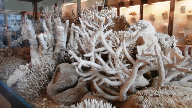 Naturhistorisches Museum 22.09.2021