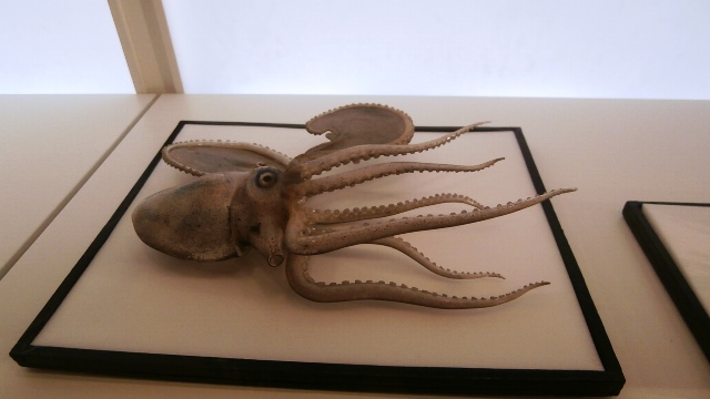 Naturhistorisches Museum 22.09.2021