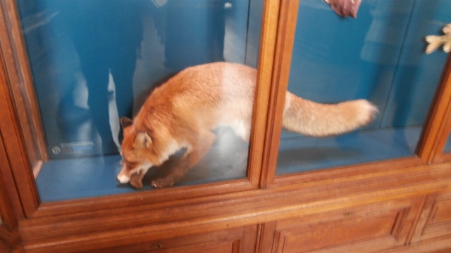 Naturhistorisches Museum 22.09.2021