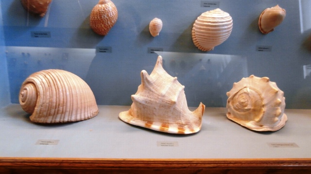 Naturhistorisches Museum 22.09.2021