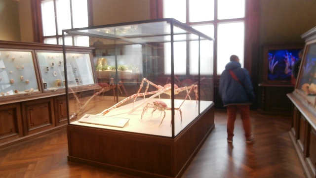 Naturhistorisches Museum 22.09.2021