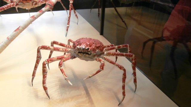 Naturhistorisches Museum 22.09.2021