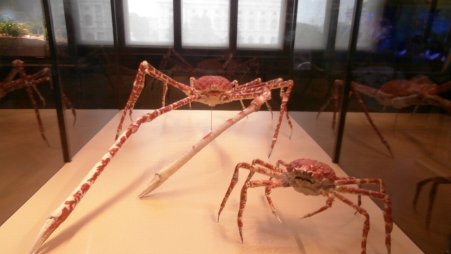 Naturhistorisches Museum 22.09.2021