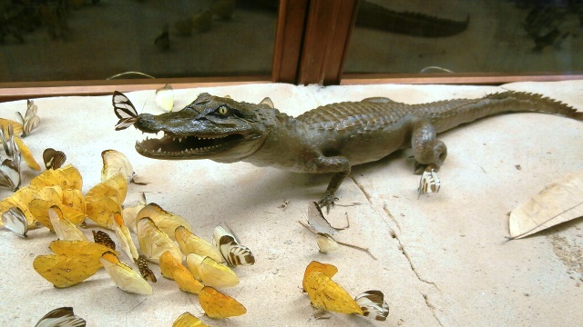 Naturhistorisches Museum 22.09.2021