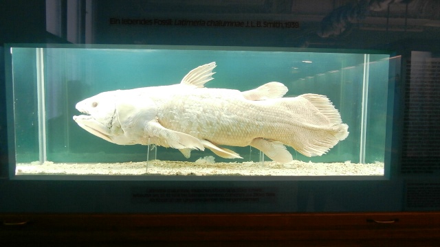 Naturhistorisches Museum 22.09.2021