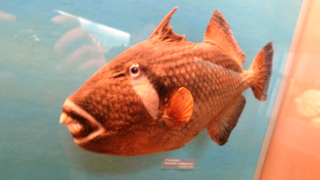 Naturhistorisches Museum 22.09.2021