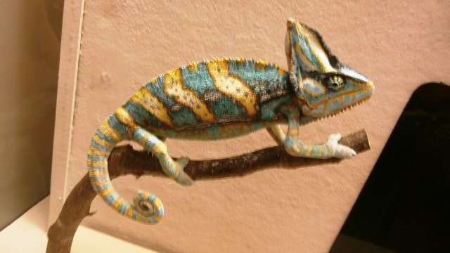 Naturhistorisches Museum 22.09.2021