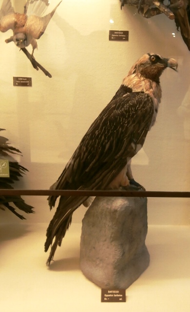 Naturhistorisches Museum 22.09.2021