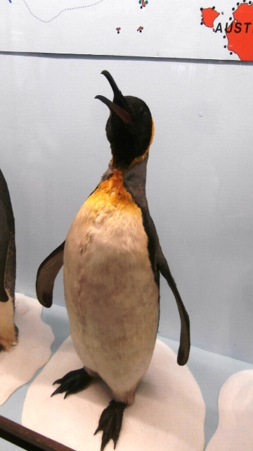 Naturhistorisches Museum 22.09.2021