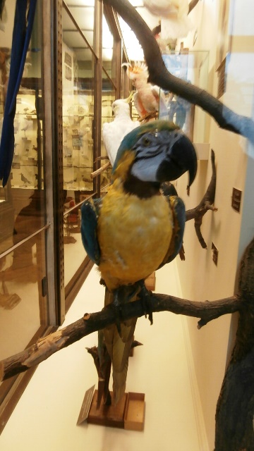 Naturhistorisches Museum 22.09.2021