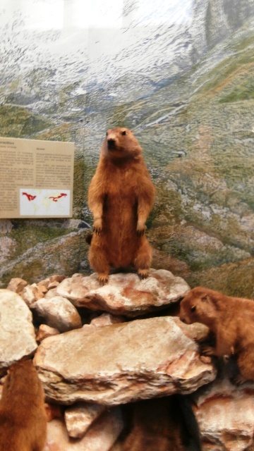 Naturhistorisches Museum 22.09.2021