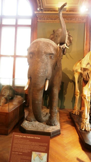 Naturhistorisches Museum 22.09.2021