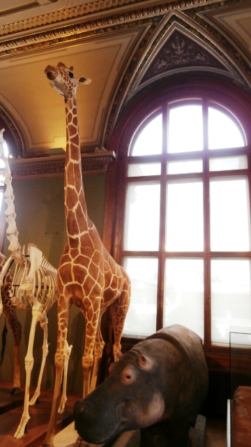 Naturhistorisches Museum 22.09.2021