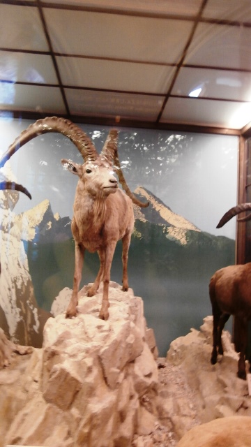 Naturhistorisches Museum 22.09.2021