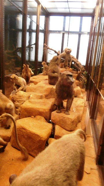 Naturhistorisches Museum 22.09.2021