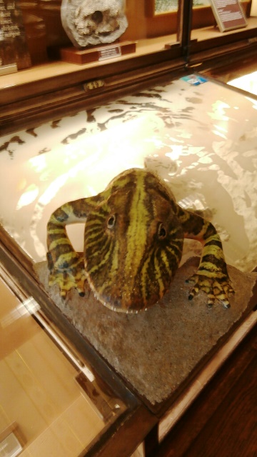 Naturhistorisches Museum 22.09.2021