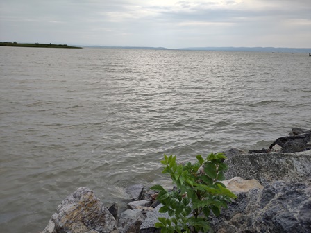 Podersdorf20240720051