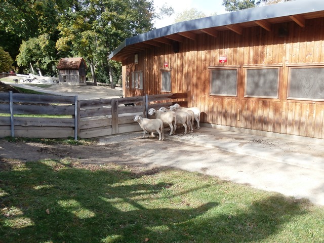 Pötzleinsdorfer Park 12.10.2019