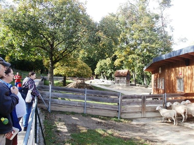 Pötzleinsdorfer Park 12.10.2019