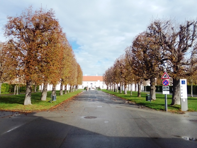 Porzellanmuseum 24.10.2020