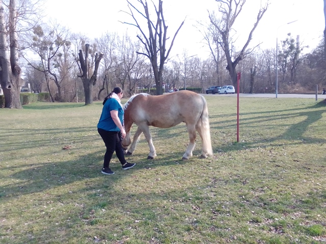 Spazieren im Prater 19.03.2022