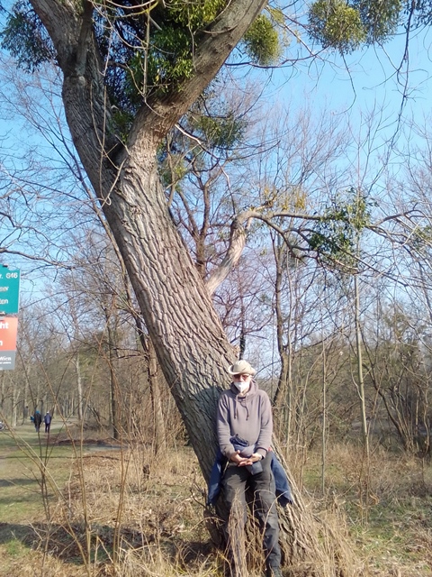 Spazieren im Prater 19.03.2022