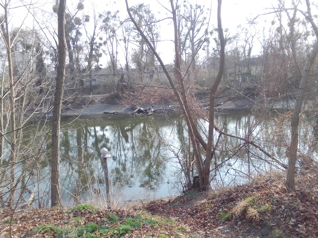 Spazieren im Prater 19.03.2022