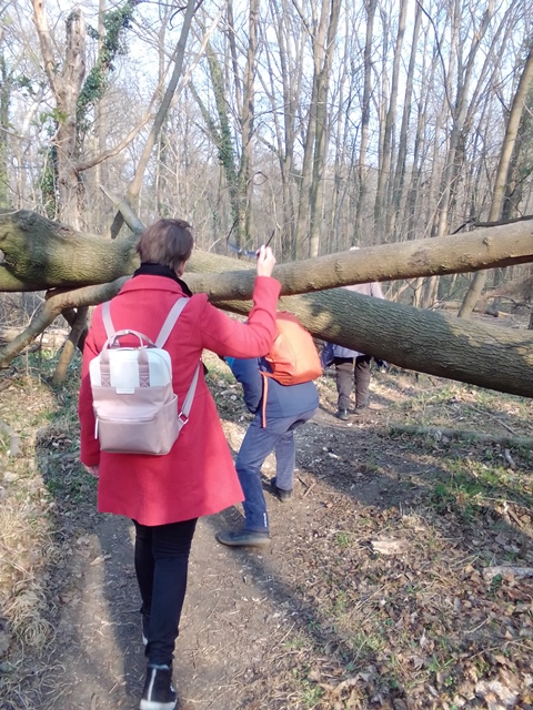 Spazieren im Prater 19.03.2022