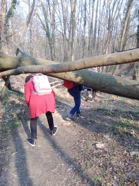 Spazieren im Prater 19.03.2022