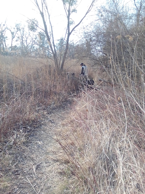 Spazieren im Prater 19.03.2022