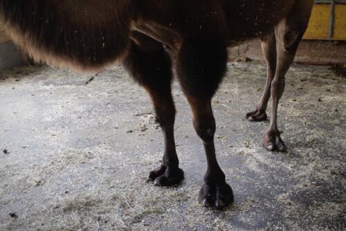 Putzwochenausflug Wolfsgraben02