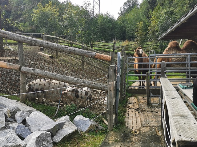 Putzwochenausflug Wolfsgraben05