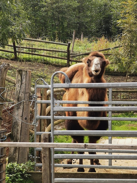 Putzwochenausflug Wolfsgraben07