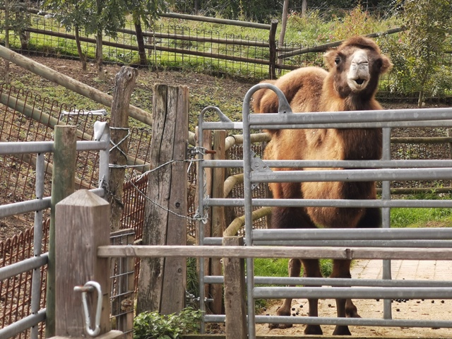 Putzwochenausflug Wolfsgraben08