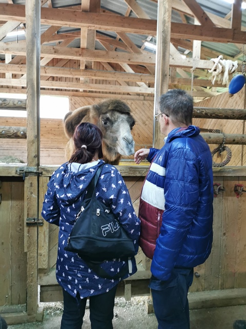 Putzwochenausflug Wolfsgraben10