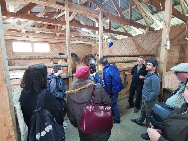 Putzwochenausflug Wolfsgraben11