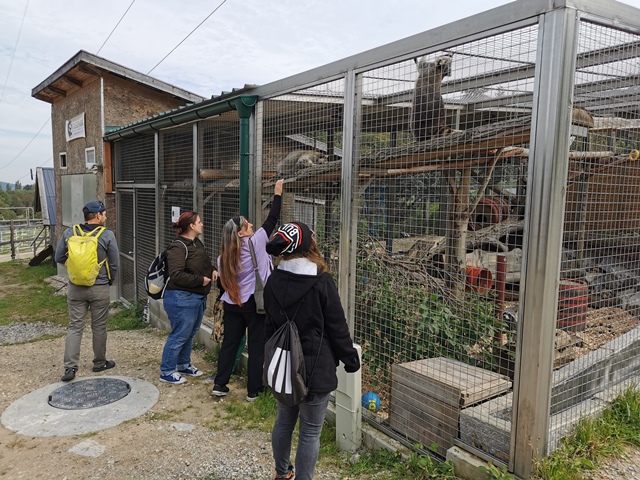 Putzwochenausflug Wolfsgraben13