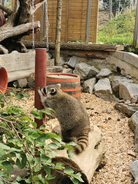 Putzwochenausflug Wolfsgraben14
