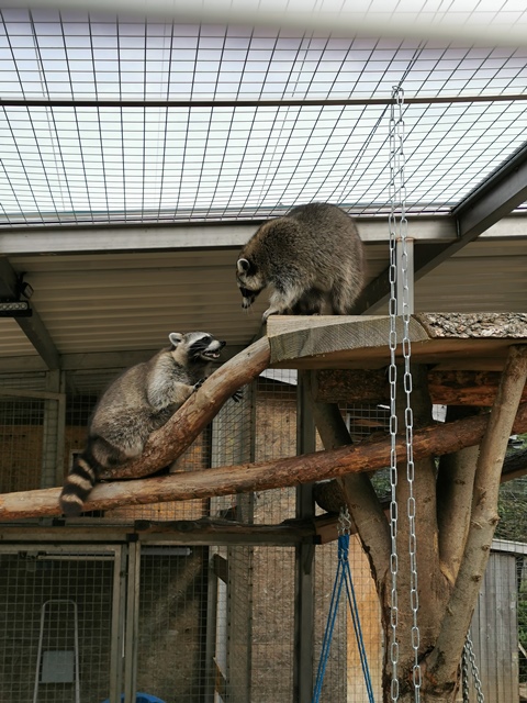 Putzwochenausflug Wolfsgraben15