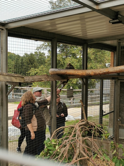 Putzwochenausflug Wolfsgraben16