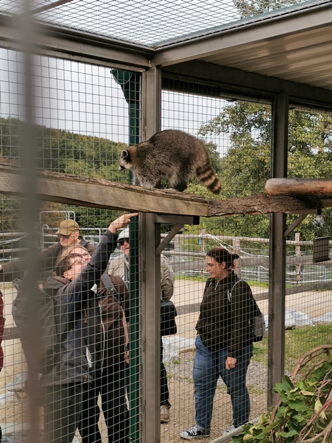 Putzwochenausflug Wolfsgraben17