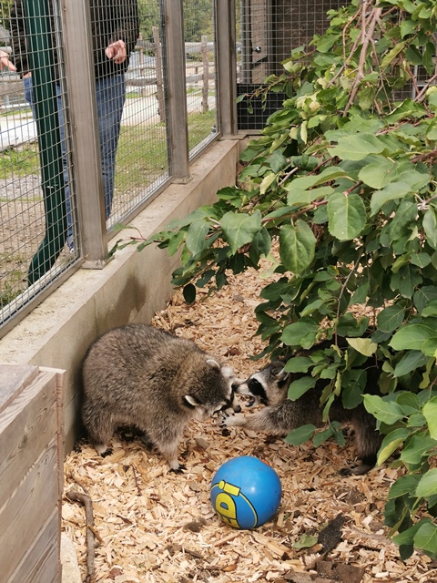 Putzwochenausflug Wolfsgraben19