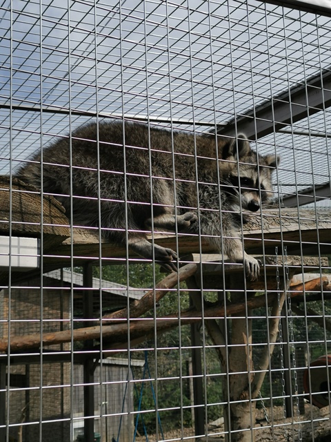 Putzwochenausflug Wolfsgraben21