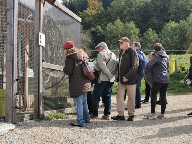 Putzwochenausflug Wolfsgraben22